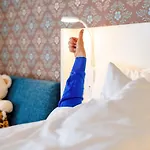 Ibis Styles מלון רגנסבורג